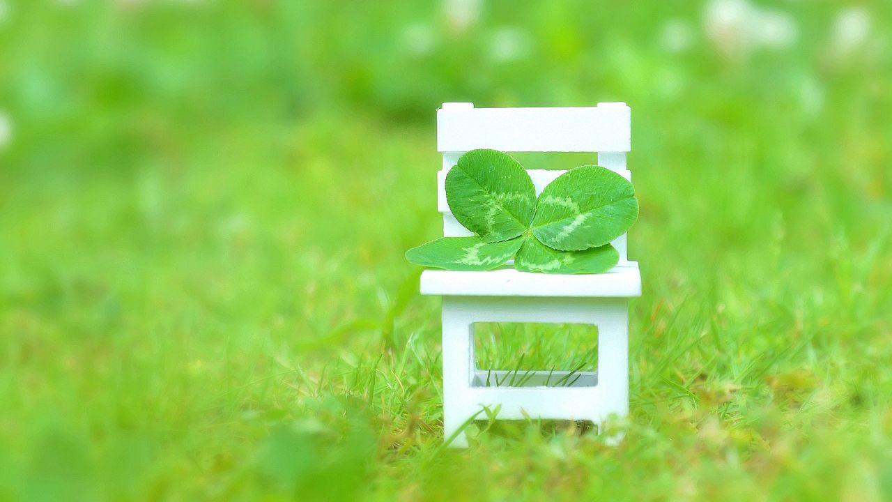 https://www.life.happy-clovers.com/wp-content/uploads/2020/09/CloverChairMV1280.jpg